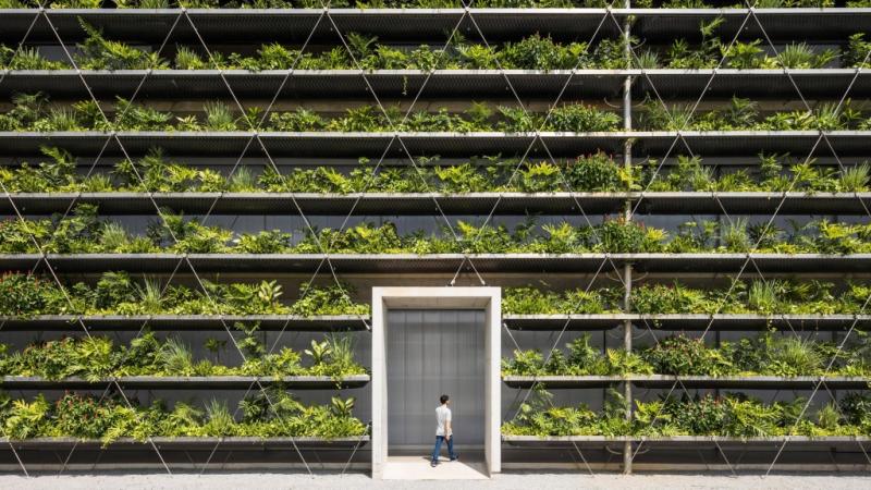 Фасады, покрытые растениями, окружают вьетнамскую фабрику от G8A Architects и Rollimarchini Architects