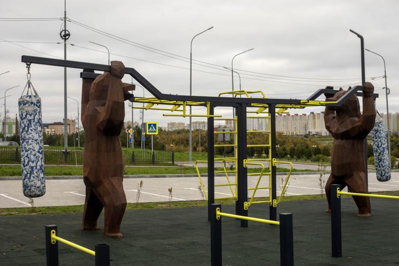 г. Нефтеюганск, ул. Набережная, уч. 29, ХМАО (2025 год) - фото от PuntoGroup