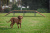 Рампа Adgility СП 001-01